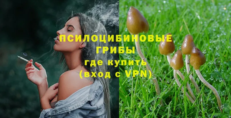 Галлюциногенные грибы Magic Shrooms  Магадан 